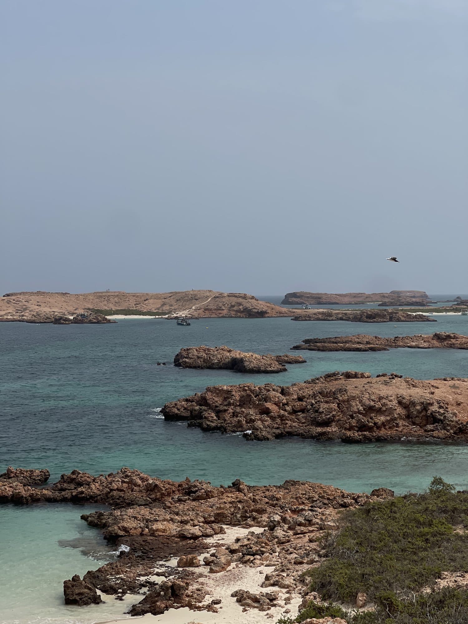 Rocky Daymaniyat islands ringed by turquoise water off the Muscat coast